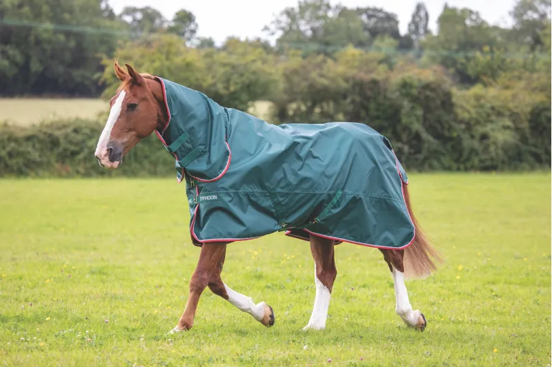 Shires Typhoon Lite 0g Combo Turnout Rug in Green